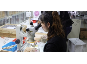 貼片共模電感方向如何區(qū)分你知道嗎？